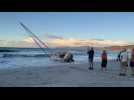 Un bateau échoué sur la plage de L'Île-Rousse ce vendredi 13 septembre.