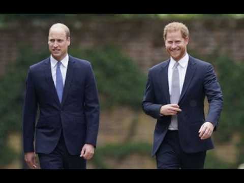 VIDEO :  Il est bte  : cette remarque cinglante des proches de William sur Harry