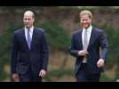 « Il est bête » : cette remarque cinglante des proches de William sur Harry