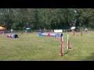 Le concours d'agility de l'association, les T'chiens Berckois.