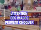 Une enseignante de maternelle à Paris filmée en train de frapper une fillette de 3 ans