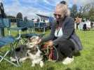 Lillers : une exposition canine rassemble plus de 1500 chiens