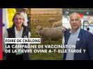 Face à Face : La campagne de vaccination de la fièvre ovine a-t-elle tardé ?