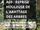 A69 : Reprise houleuse de l'abattage des arbres. 1er septembre sous tension dans le Tarn