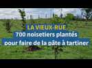 700 noisetiers plantés à La Vieux-Rue