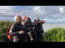 VIDEO. A Carolles, des passionnés d'ornithologie observent les migrations des oiseaux