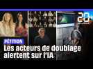Brad Pitt, Zelda, La Reine des neiges, les doubleurs français se mobilisent en vidéo contre l'IA