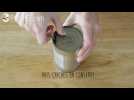 Mousse au chocolat vegan sans oeufs et sans lait