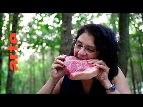 Dans les cuisines de la préhistoire | Mini-série documentaire | ARTE