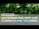 Du colorant bleu versé dans le plan d'eau du parc Léo-Lagrange à Reims