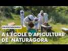 A NaturAgora une école pour devenir apiculteur