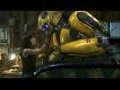 Bumblebee