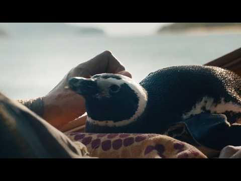 My Penguin Friend - Bande annonce 1 - VO - (2024)