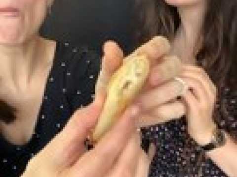 Samoussas aux maquereaux et fromage frais