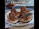 Cheesecakes sans cuisson aux biscuits speculoos