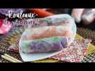Rouleaux de printemps végétariens - chou rouge et patate douce