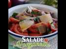 Salade panzanella - salade italienne