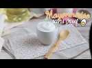 Mayonnaise sans oeufs au lait