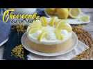 Cheesecake sans cuisson au citron