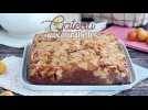 Gâteau renversé aux mirabelles et amandes