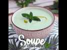 Soupe froide de concombre et menthe