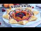 Tarte étoile aux fruits
