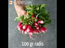 Soupe froide de radis