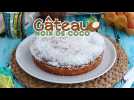 Gâteau à la noix de coco brésilien - bolo toalha felpuda