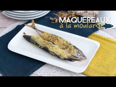 Maquereaux à la moutarde