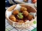 Falafels, la recette facile et rapide - Label : Ptitchef FR Cloud - Category : Cuisine