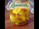 Limoncello maison facile - Label : Ptitchef FR Cloud - Category : Cuisine