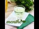 Sirop de menthe fait maison