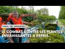 La guerre contre les plantes aquatiques continue le long du canal des Ardennes