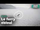 Au Québec, le spectacle magnifique d'une baleine pour l'équipage d'un ferry