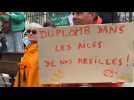 Contre la loi Duplomb, les agriculteurs bio du Morbihan se mobilisent