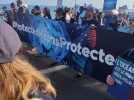 1.000 personnes réunis pour une marche bleue à Nice