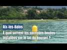 À quoi servent les nouvelles bouées installées sur le lac du Bourget ?