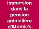 Wormhout : immersion au coeur de la pension animalière Atomic team's