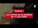 VIDEO. « Dragons »; « Vacances forcées » Les sorties cinéma de la semaine