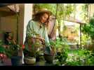 Combien coûte un jardin de rêve écolo et économique?