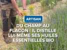 Du champ au flacon : il distille lui-même ses huiles essentielles bio