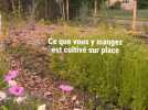 Cageot: la halle gourmande en circuit court au sud de Lille