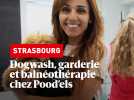 Dogwash, garderie et balnéothérapie canine chez Pood'els
