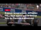 VIDÉO. F1. Enjeux, programme, diffusion TV... Tout savoir sur le Grand Prix du Canada à Montréal