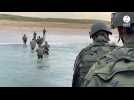 VIDÉO. Des militaires ont débarqué dans le Morbihan pour l'exercice grandeur nature Polaris 25