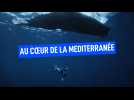 Sous la méditerranée : ces changements que l'on ne voit pas