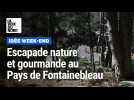 Rando, grimpe, château et gourmandises : trois jours à Fontainebleau