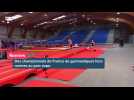 Rennes accueille des championnats de France de gymnastique historiques