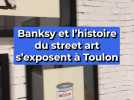Banksy et le street art s'exposent à Toulon