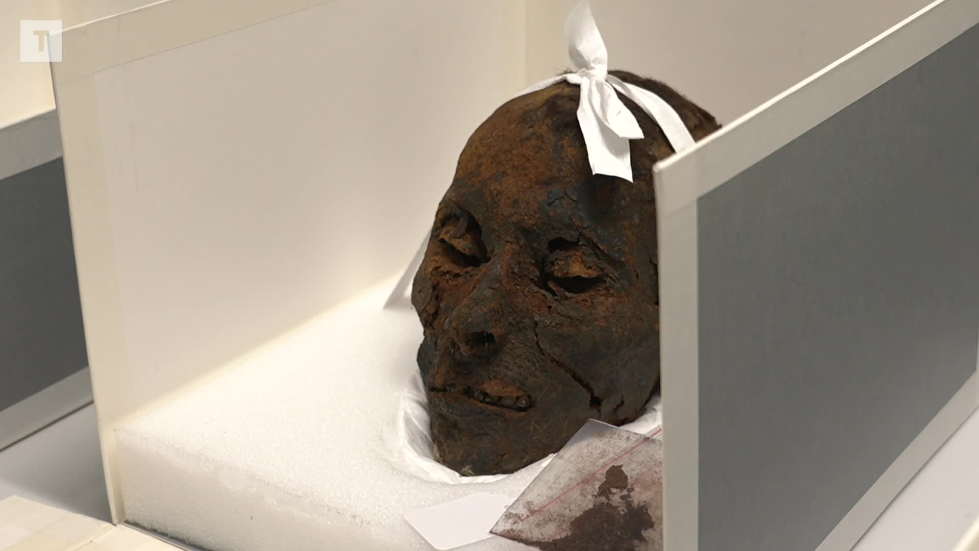 « On a toujours en tête que ça a été des personnes vivantes » : à Morlaix, les équipes du musée aux petits soins pour les restes momifiés [Vidéo]
